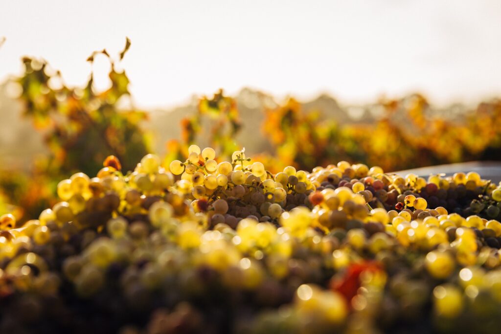 Can A Wine Fridge Be Used In An RV Or Boat?