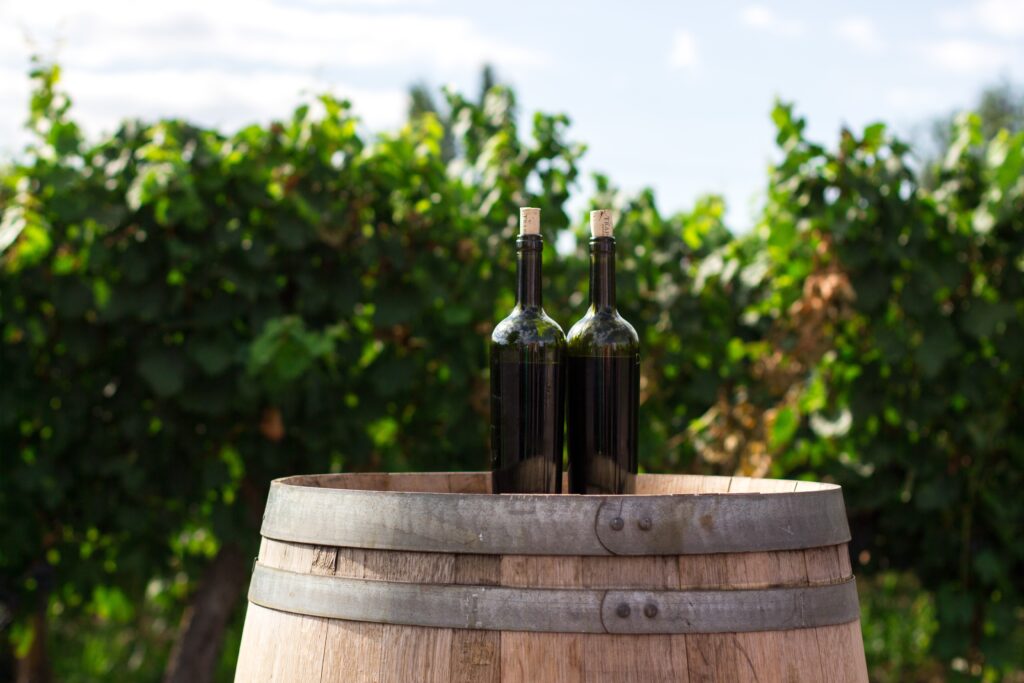 Is It Necessary To Have A Wine Fridge With A Fan?