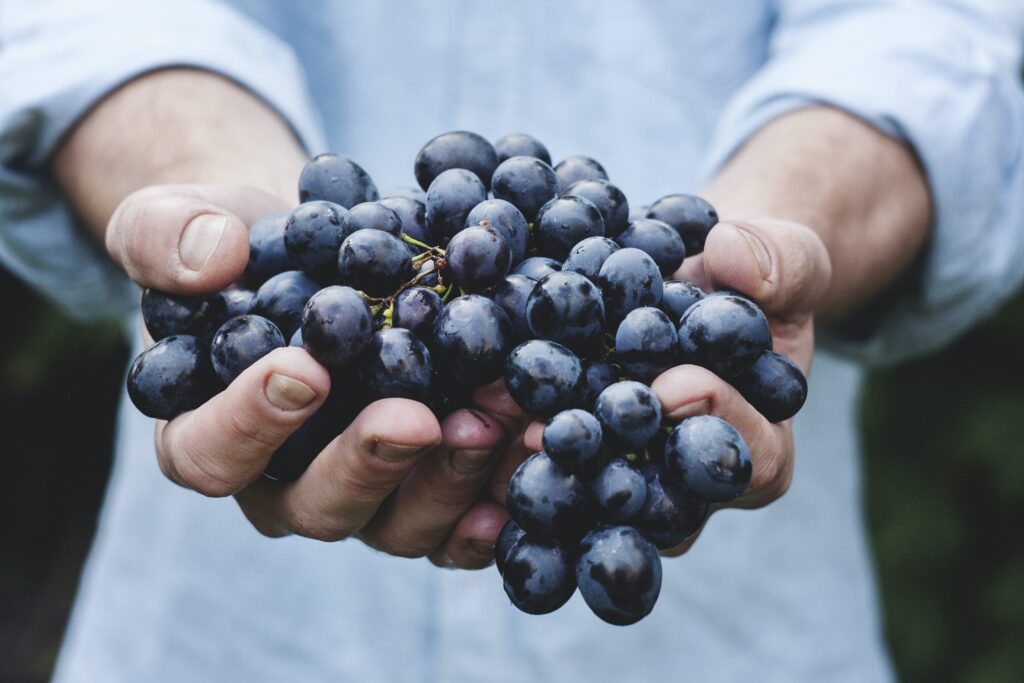 What Should I Do If My Wine Fridge Starts To Smell?